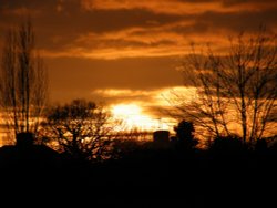 Eastcote Village Wallpaper