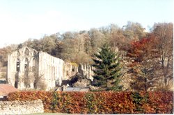 Autumn at Rievaulx Abbey Wallpaper