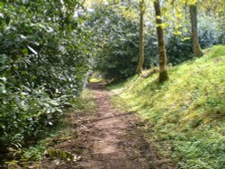 The Otterhead Back Drive May 2006 Wallpaper