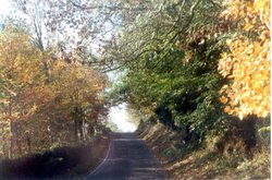 Ringwood, Hampshire. Autumn 1991 Wallpaper