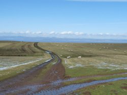 North Hill Wallpaper