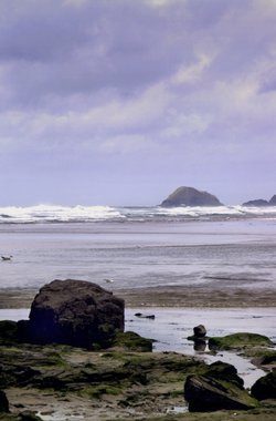Perranporth Rocks.