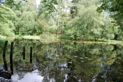 Reflections