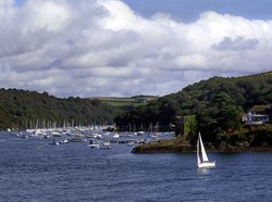 The River Fowey from St Catherine's Castle Wallpaper
