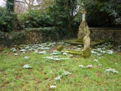 In the Churchyard Wallpaper