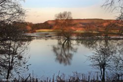Stour Valley Winter, Shillingstone.