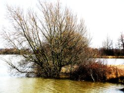 Harleston Lakes Wallpaper