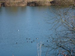 Harleston Lakes Wallpaper