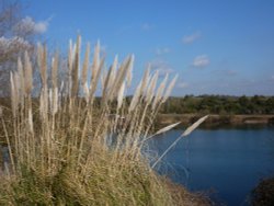 Harleston Lakes Wallpaper