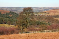 North Yorkshire Moors 1 Wallpaper