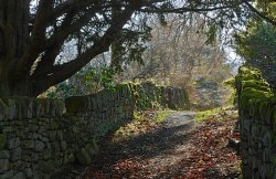 North Yorkshire Moors 2 Wallpaper