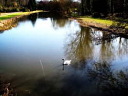 A view of Burgh next Aylsham Wallpaper
