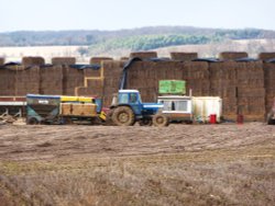 Farming at Blythburgh Wallpaper