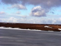 Frozen spring. Wallpaper