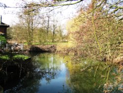 At Needham Mill Wallpaper