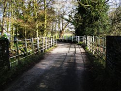 Needham Bridge Wallpaper