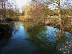 At Needham Mill Wallpaper