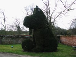 Topiary in the College Grounds Wallpaper