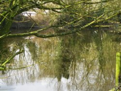 Wingfield Castle Pond Wallpaper