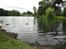 The lake at Burghley Wallpaper