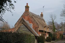 Kingfisher Lane Wallpaper