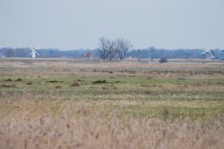 Looking towards Upton Wallpaper