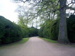 Gardens Newstead Abbey and Park Wallpaper