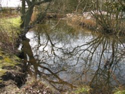 At Hickling Broad Wallpaper