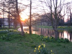 Regents Park Wallpaper