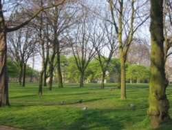 Regents Park Wallpaper