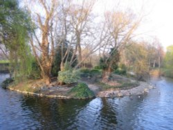 Regents Park Wallpaper