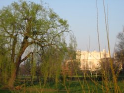 Regents Park Wallpaper