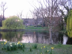 Regents Park Wallpaper