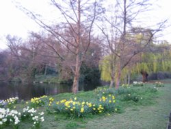 Regents Park Wallpaper