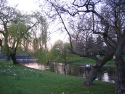 Regents Park Wallpaper