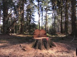 Take a seat ! Wallpaper