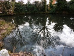 Blundeston pond reflections Wallpaper