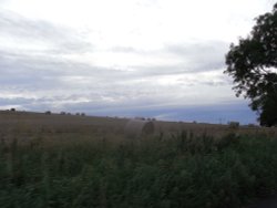 Field bales Wallpaper