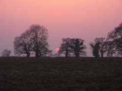 March sunset over Westonbirt 2009 Wallpaper