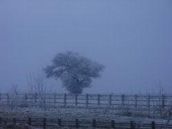 Taken 1st Jan 2009 Wallpaper