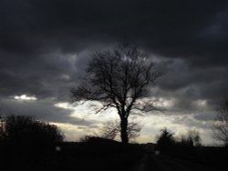 Taken near Tetbury November 2008 Wallpaper