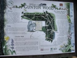 Info board for Gunton Wood