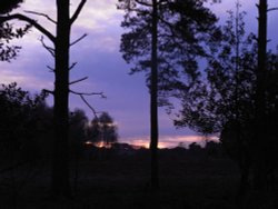 Sundown over the forest