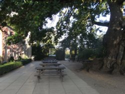 A bench in the shade Wallpaper