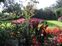 A beautiful display Wallpaper