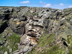 Kinder Downfall Wallpaper