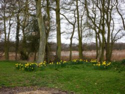 At Filby Broad Wallpaper