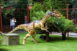 He's looking for dinner. Wallpaper