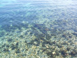 Clear water Wallpaper