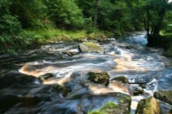 Downstream Wallpaper